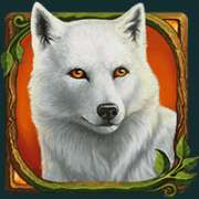 White Wolf symbol in Druids’ Dream slot