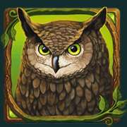 Owl symbol in Druids’ Dream slot