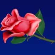 Scarlet Rose symbol in New York slot