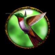 Bird symbol in Wild Rapa Nui slot
