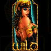 Wild symbol in Nights of Egypt slot