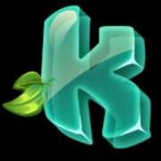 K symbol in Wonder Woods slot