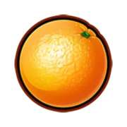 Orange symbol in Fruit Mania slot