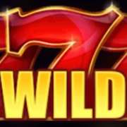 Wild symbol in Hot Coins Hold and Win slot