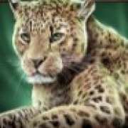 Cheetah symbol in Savanna Roar slot