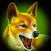 Dingo symbol in Roo Riches slot