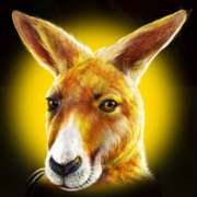 Kangaroo symbol in Roo Riches slot