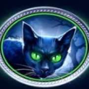 Cat symbol in Tales of Darkness: Full Moon slot