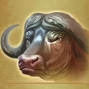 Buffalo symbol in Mighty Africa slot