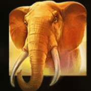 Elephant symbol in Mighty Africa slot