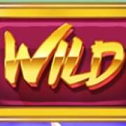 Wild symbol in Wins of Fortune slot