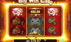 Play Big Win Cat