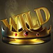 Wild symbol in Mines of Gold slot