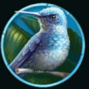 Hummingbird symbol in Silverback Gold slot