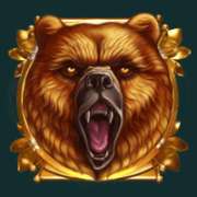 Bear symbol in Druids’ Dream slot
