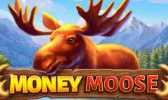 Play Money Moose