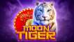 Play Moon Tiger slot