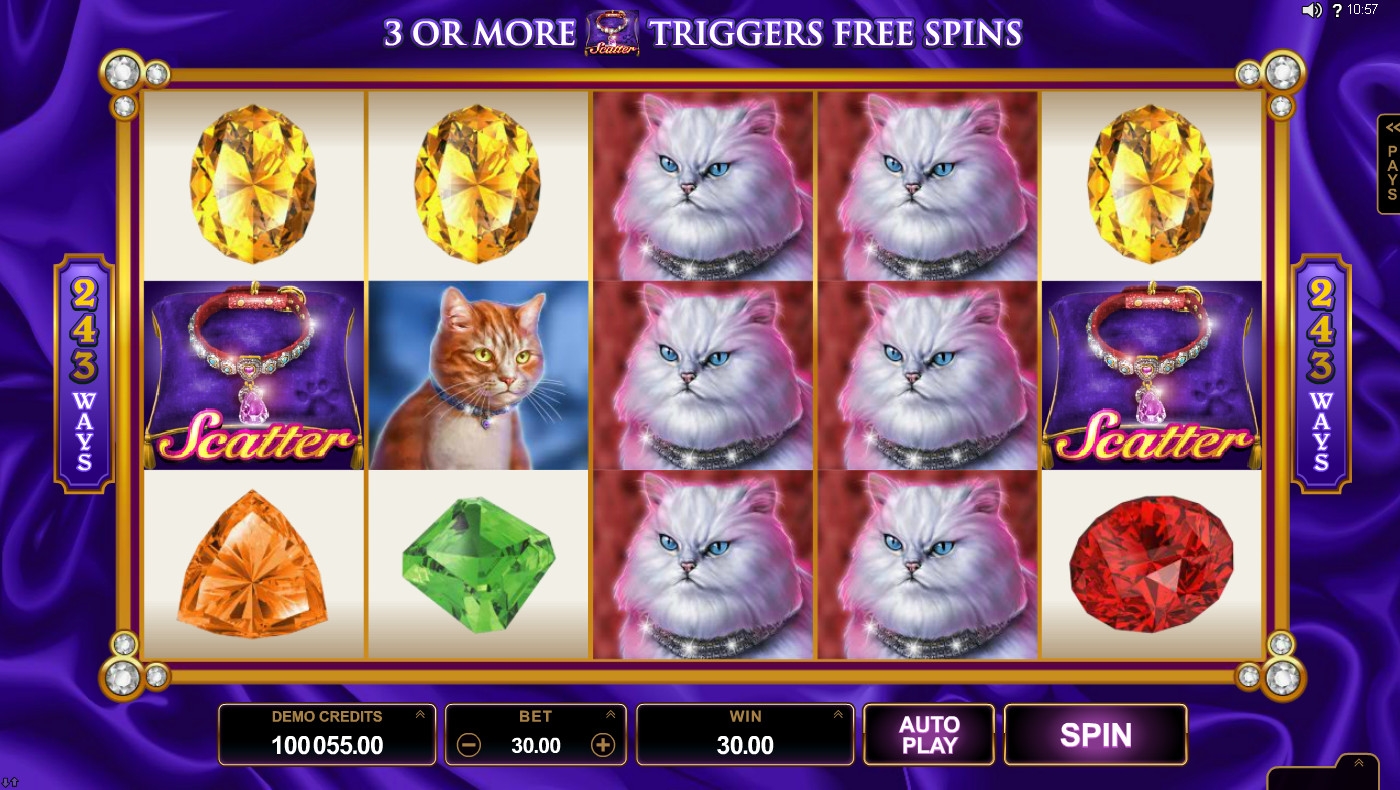 Pretty Kitty slot online \ud83c\udfb0 by Microgaming | Play now free