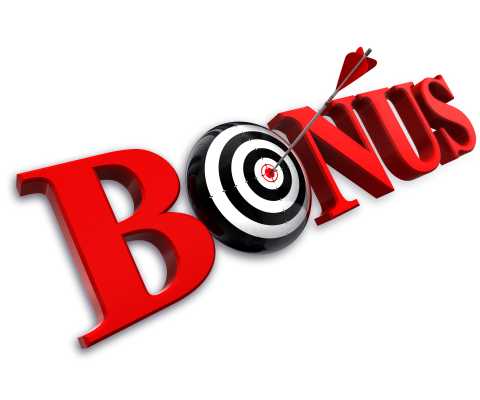 Basics of Bonus Hunting at Online Casinos
