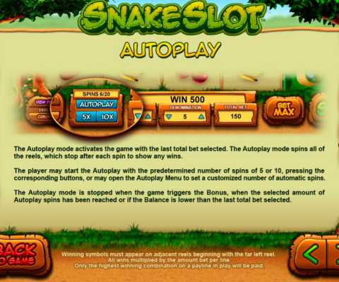 What You Must Know about Autoplay in Video Slots