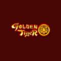 Golden Tiger