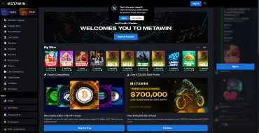 Metawin Casino: Casino website