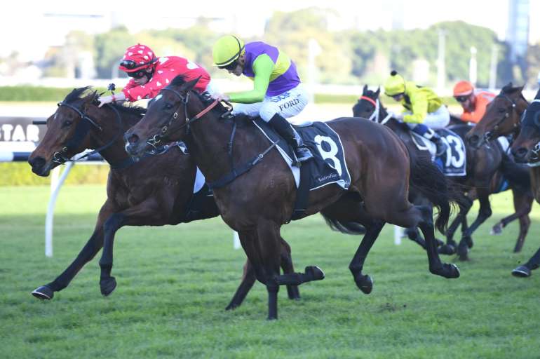 Bets on the racetrack in Totalisateur Totalisateur in Totalisateur