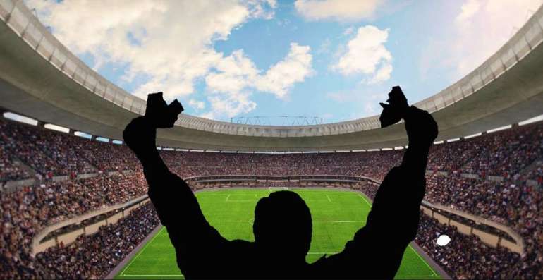 Joyful fan at the stadium in Outsider Sports betting in Outsider