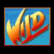 Wild symbol in Street Fighter II: The World Warrior slot