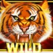 Wild symbol in Year of the Tiger slot