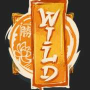 Wild symbol in Monkey Pop slot