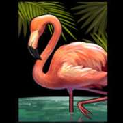 Flamingo symbol in Narcos slot
