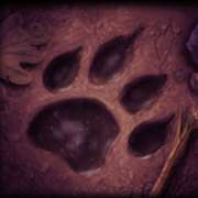Footprint symbol in Night Wolves slot