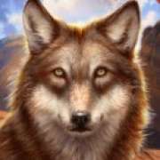 Gray wolf symbol in Wolf Canyon: Hold & Win slot