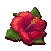 Символ Орхидея symbol in Bikini Island Deluxe slot