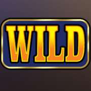Wild symbol in Hold4Timer slot