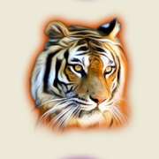 Tiger symbol in The Wildlife slot