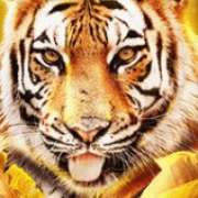 Tiger symbol in Big Cat Rescue Megaways slot