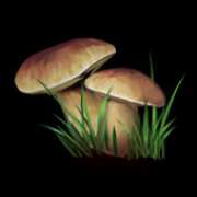 Mushrooms symbol in Night Wolves slot