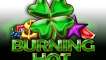 40 Burning Hot Clover Chance slot