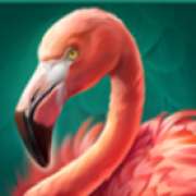 Flamingo symbol in Lion Gems: Hold and Win slot
