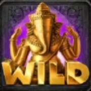 Wild symbol in Secrets of the Temple 2 slot