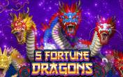 5 Fortune Dragon slot
