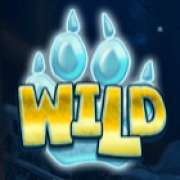 Wild symbol in Wolf Cub slot