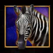 Zebra symbol in Savannah's Queen slot