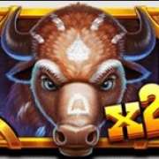 Wild X2 symbol in Wild Bison Charge slot
