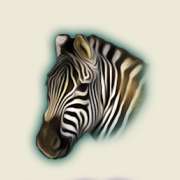 Zebra symbol in The Wildlife slot