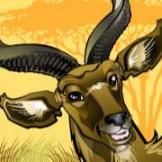 Antelope symbol in Mega Moolah slot