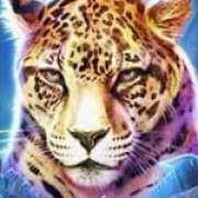Leopard symbol in Big Cat Rescue Megaways slot