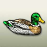 Duck symbol in Golden Tour slot